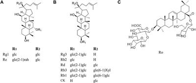 Emerging Significance of Ginsenosides as Potentially Reversal Agents of Chemoresistance in Cancer Therapy